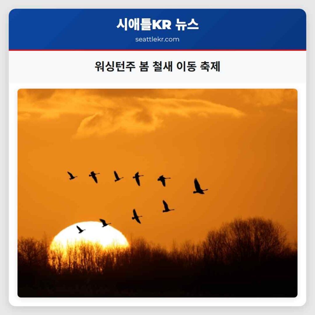 워싱턴주 봄 철새 이동 축제