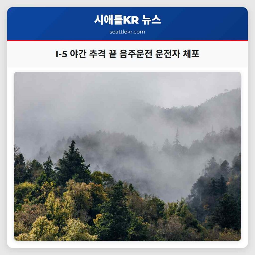 I-5 야간 추격 끝 음주운전 운전자 체포
