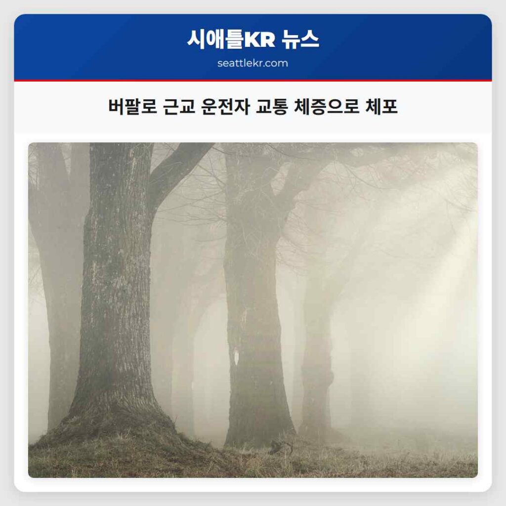버팔로 근교 운전자 교통 체증으로 체포