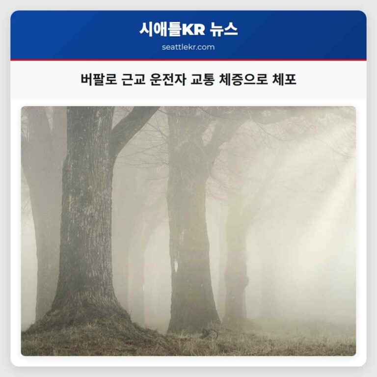 뉴욕 버팔로 근교 운전자 경찰 추격 중 교통 체증으로 체포
