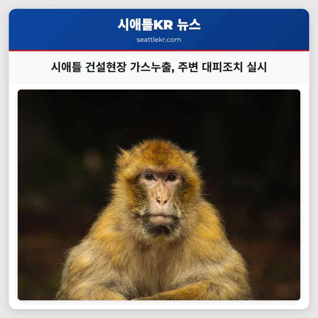 시애틀 건설현장 가스누출, 주변 대피조치 실시