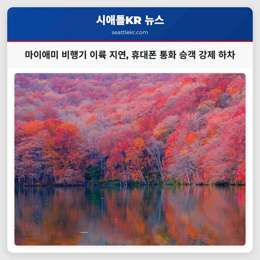 마이애미 비행기 이륙 지연, 휴대폰 통화 승객 강제 하차