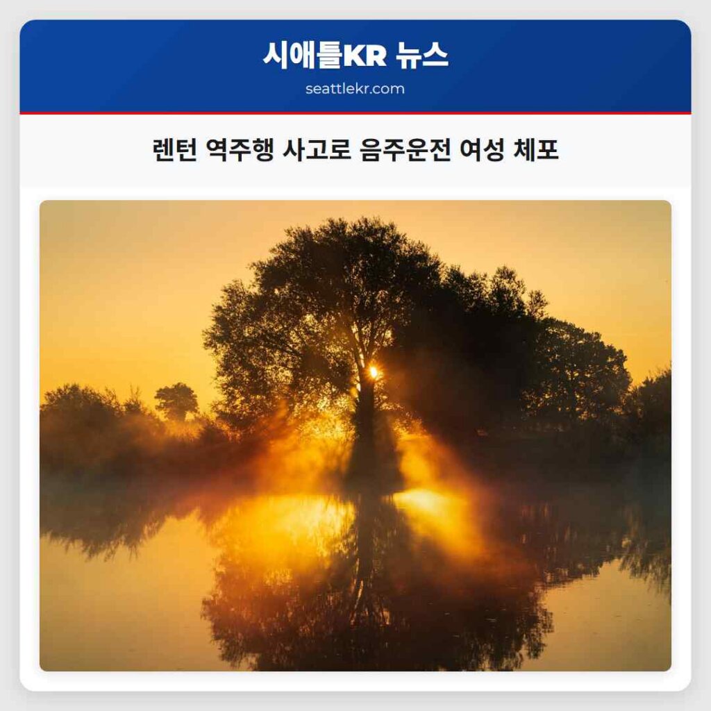 렌턴 역주행 사고로 음주운전 여성 체포