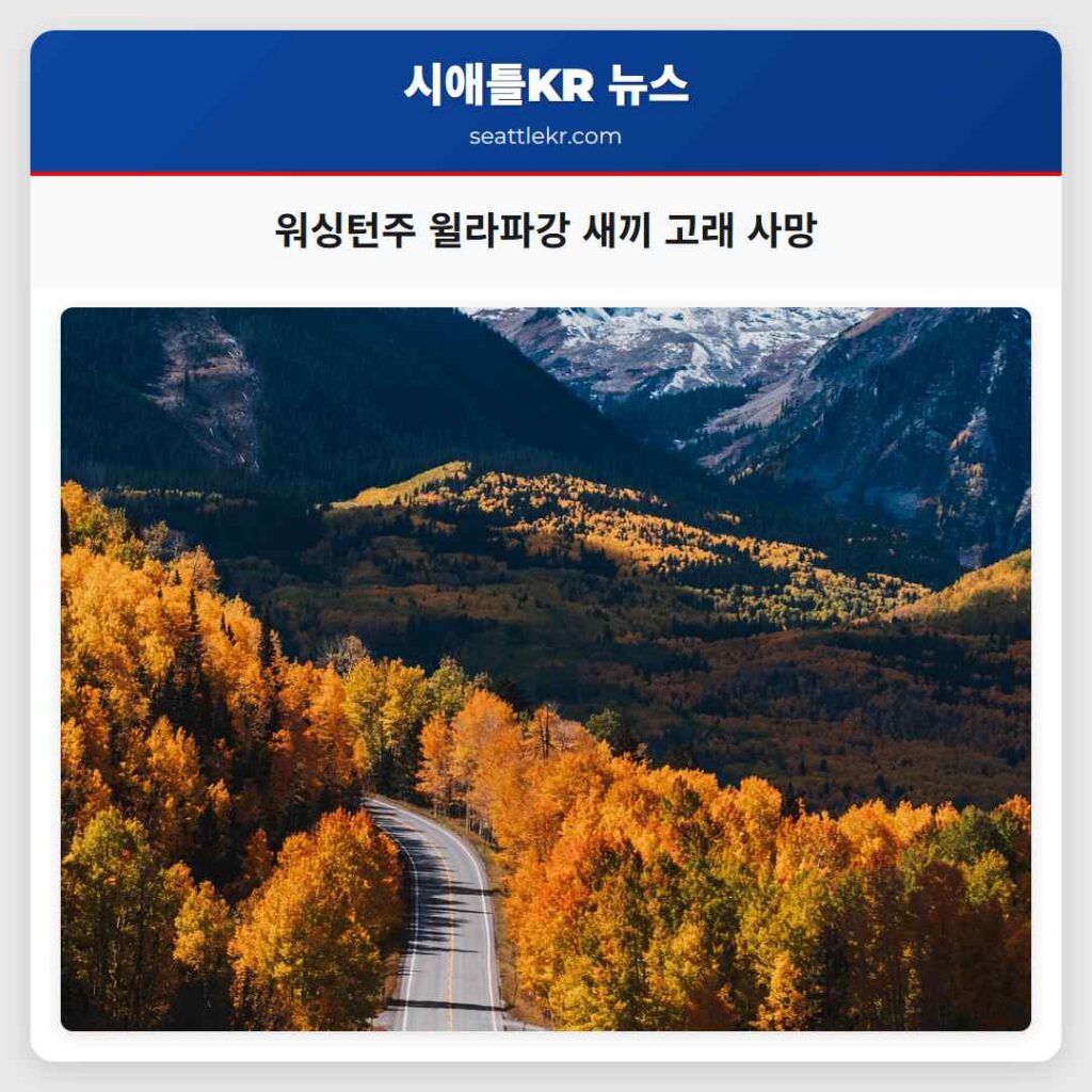 워싱턴주 윌라파강 새끼 고래 사망