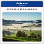 항공 연료 가격 상승에 따른 주요 항공사 수하물 요금 인상 안내