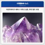 마운트레이크 테라스 어르신 실종 주민 협조 요청