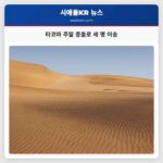 타코마 주말 충돌로 세 명 이송