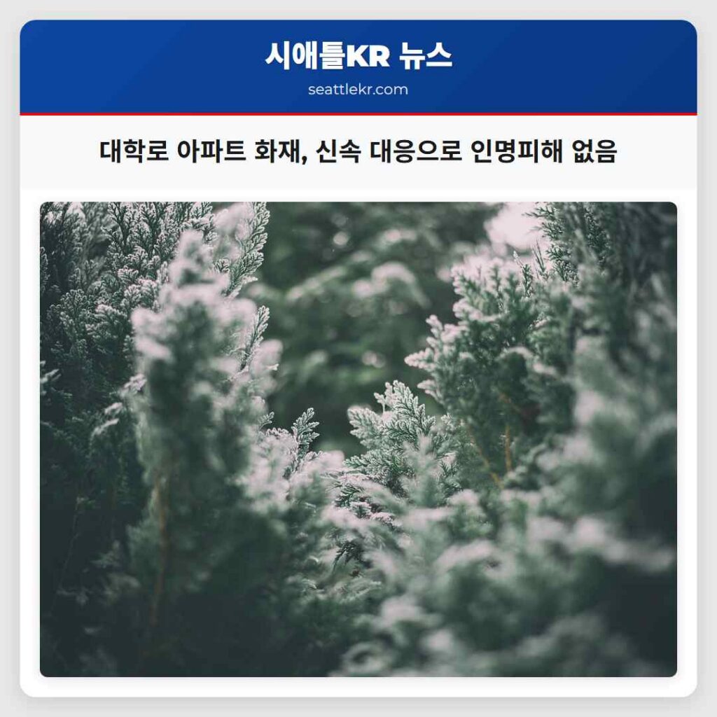 대학로 아파트 화재, 신속 대응으로 인명피해 없음