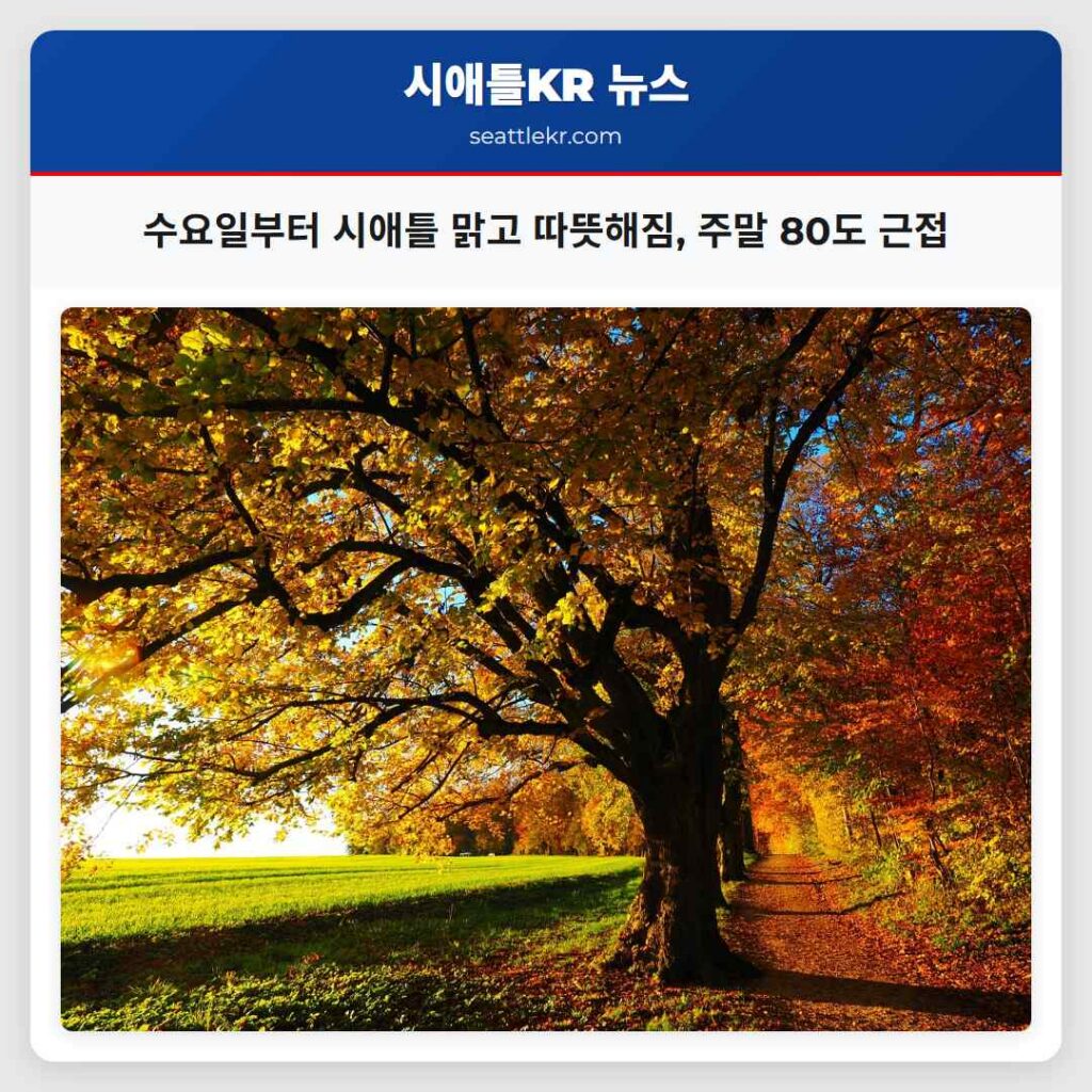 수요일부터 시애틀 맑고 따뜻해짐, 주말 80도 근접