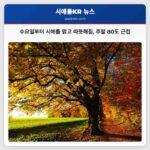 수요일부터 시애틀 맑고 따뜻해짐 주말 80도 근접