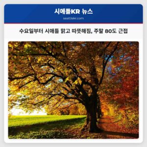 수요일부터 시애틀 맑고 따뜻해짐 주말 80도 근접