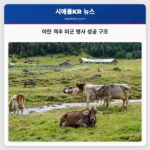 이란 공군 격추 후 실종 미군 병사 구조 성공적 완료