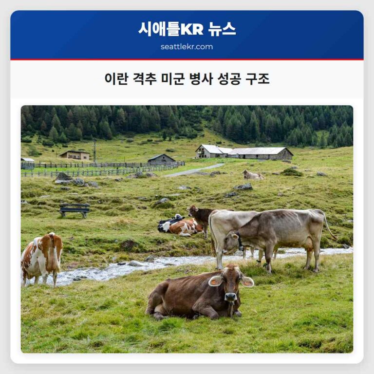 이란 공군 격추 후 실종 미군 병사 구조 성공적 완료