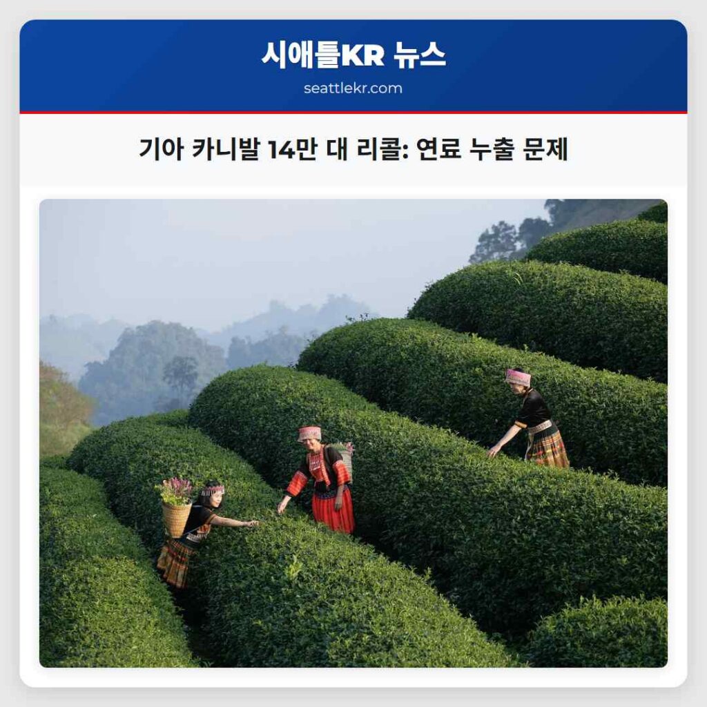 기아 카니발 14만 대 리콜: 연료 누출 문제