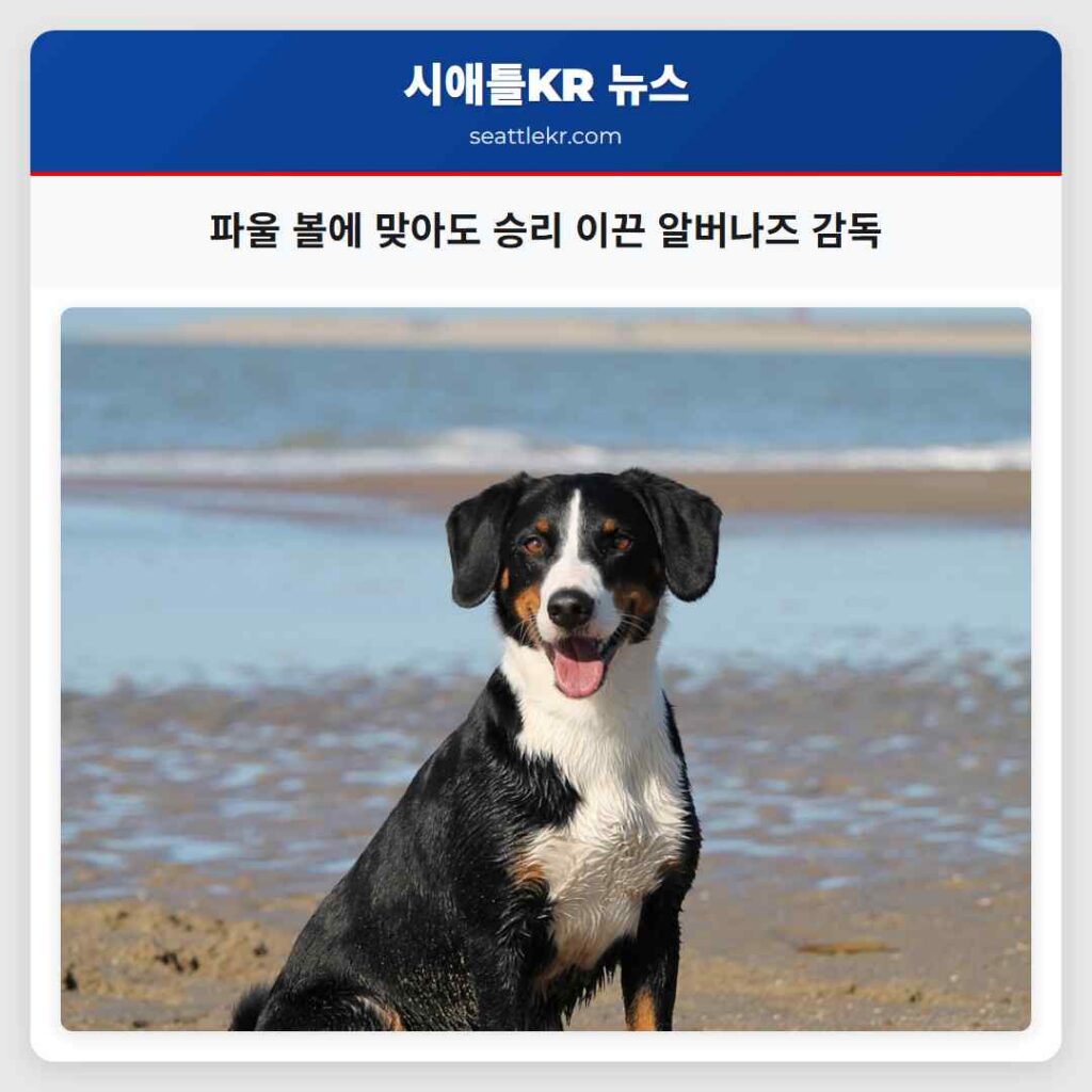 파울 볼에 맞아도 승리 이끈 알버나즈 감독