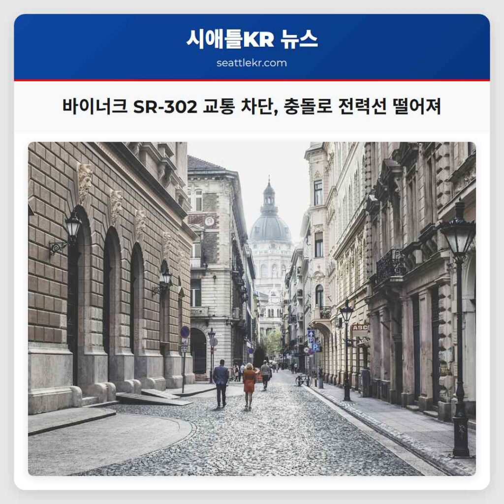 바이너크 SR-302 교통 차단, 충돌로 전력선 떨어져