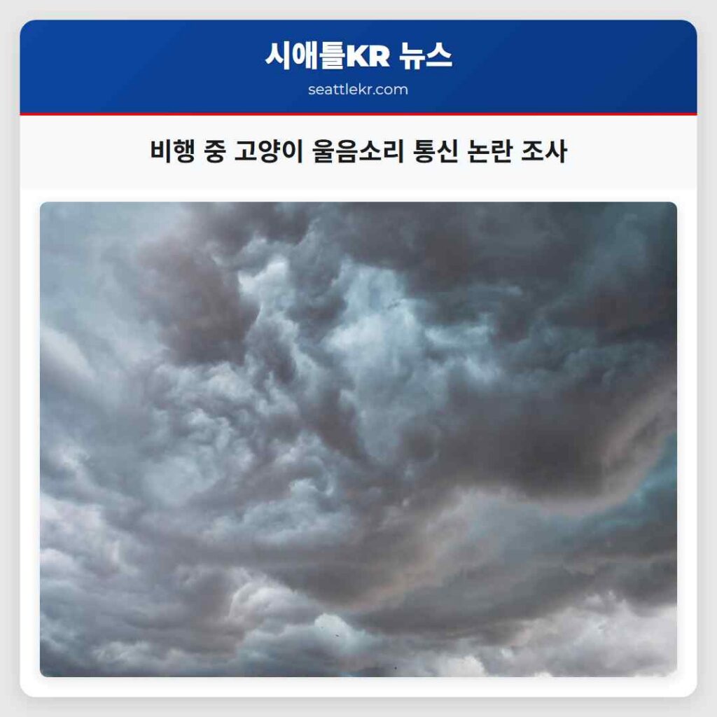 비행 중 고양이 울음소리 통신 논란 조사