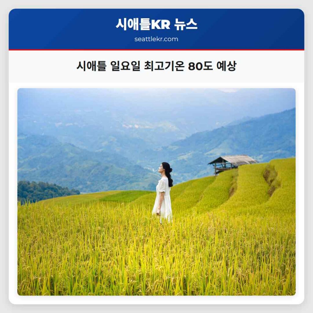 시애틀 일요일 최고기온 80도 예상