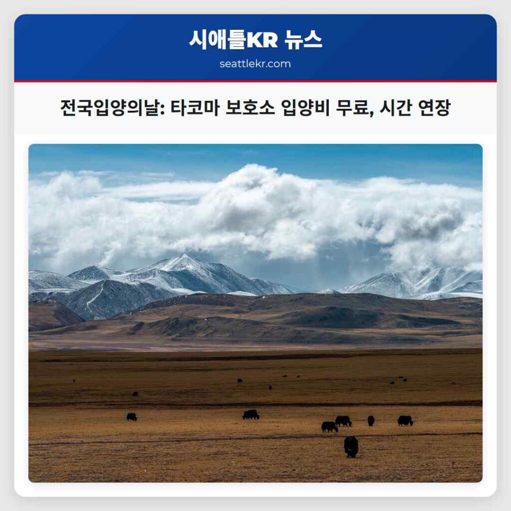 전국입양의날: 타코마 보호소 입양비 무료, 시간 연장