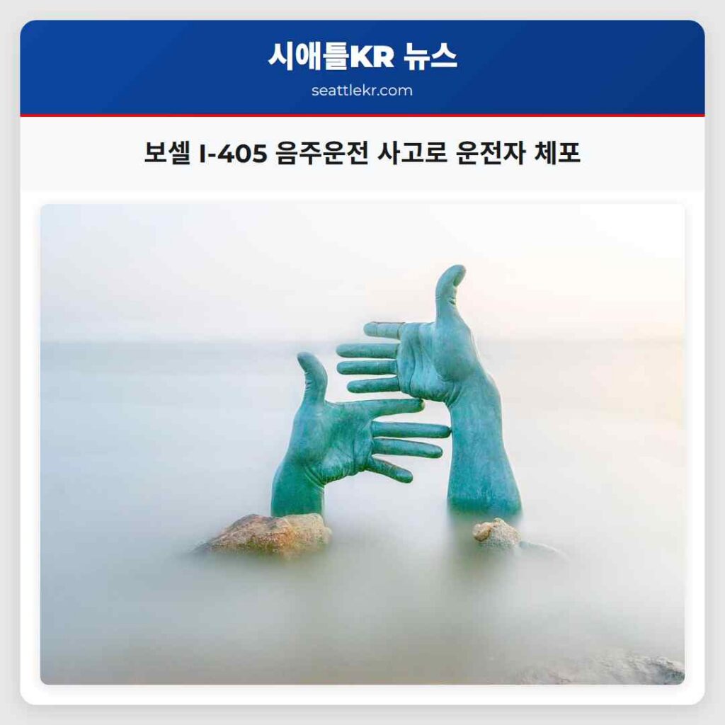 보셀 I-405 음주운전 사고로 운전자 체포