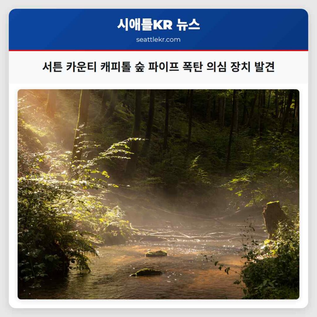 서튼 카운티 캐피톨 숲 파이프 폭탄 의심 장치 발견