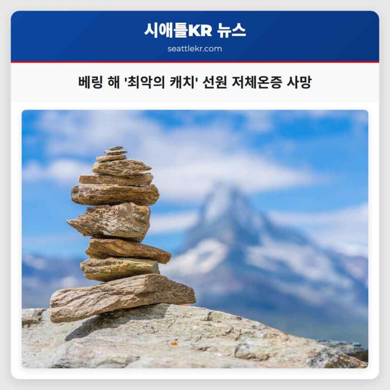 베링 해의 혹독한 파도 속 최악의 캐치 선원 토드 메도우즈의 비극적 운명