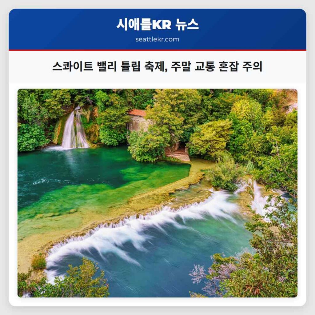 스콰이트 밸리 튤립 축제, 주말 교통 혼잡 주의