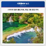 시애틀 인근 스콰이트 밸리 튤립 축제 봄의 아름다움과 교통 혼잡 주의