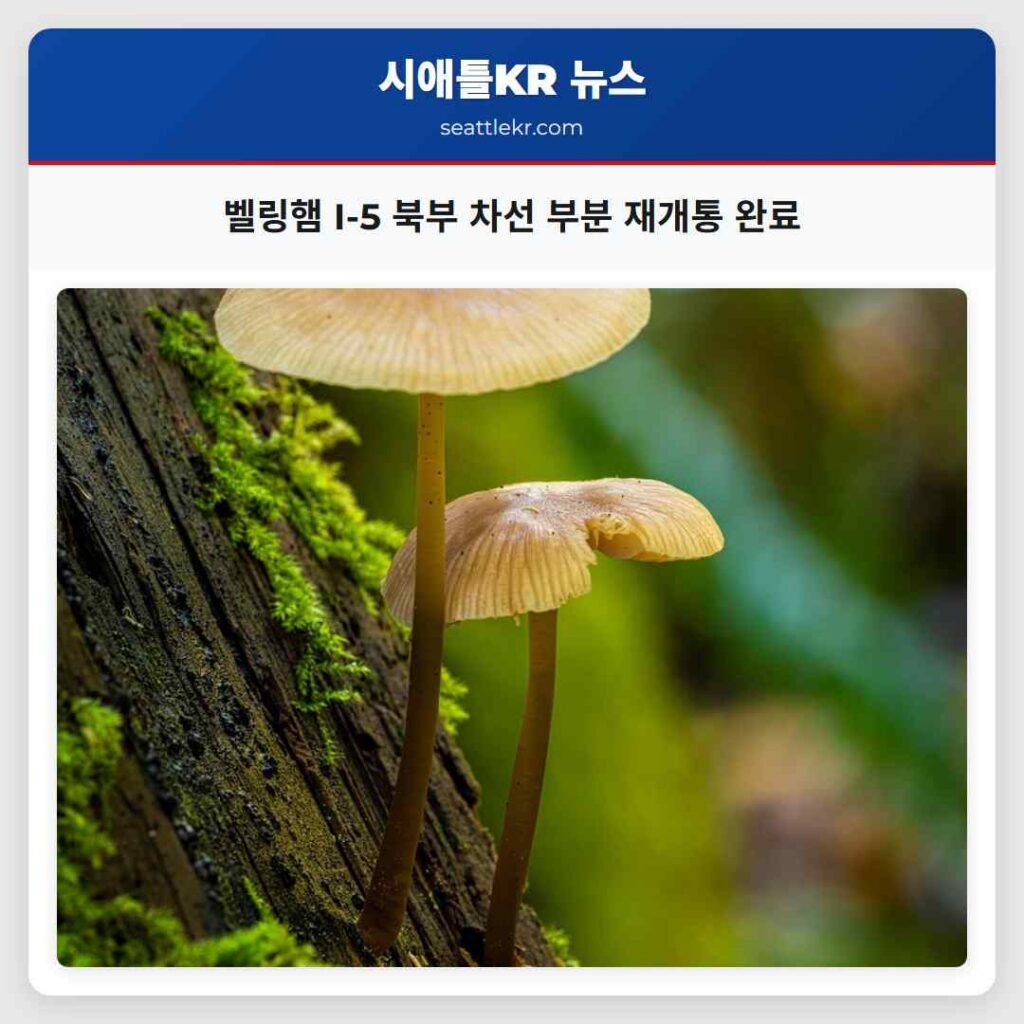 벨링햄 I-5 북부 차선 부분 재개통 완료