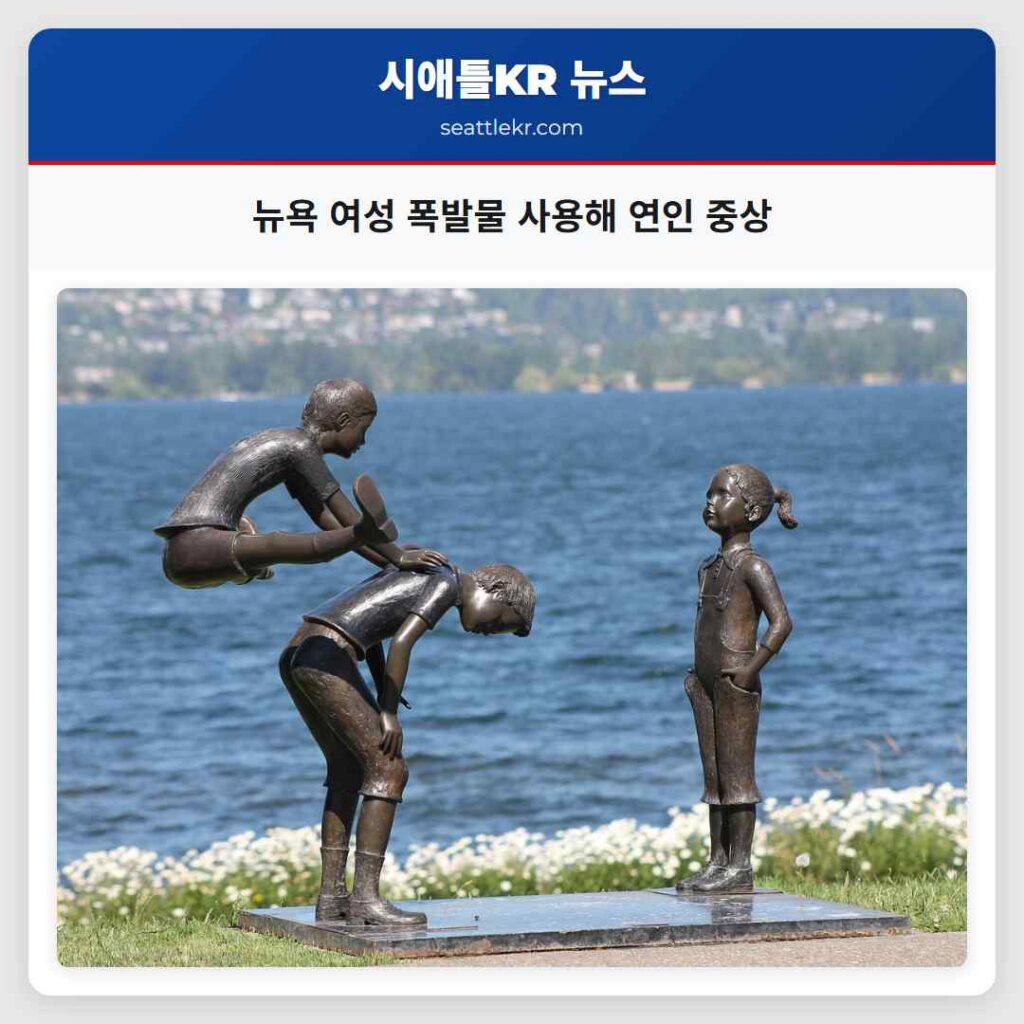 뉴욕 여성 폭발물 사용해 연인 중상