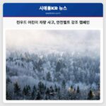 린우드 어린이 차량 사고 안전벨트 강조 캠페인