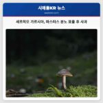 세르히오 가르시아 마스터스 분노 표출 후 사과