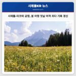 시애틀-타코마 공항 봄 여행 성수 첫날 여객 기록 경신
