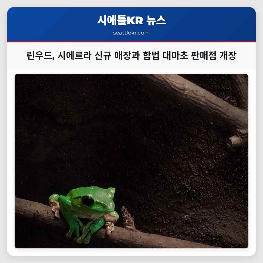린우드, 시에르라 신규 매장과 합법 대마초 판매점 개장