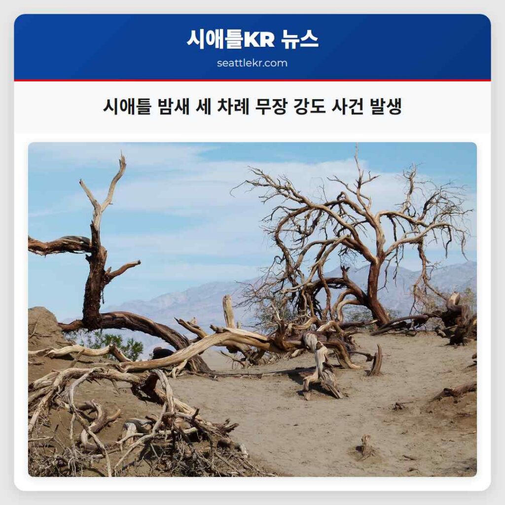 시애틀 밤새 세 차례 무장 강도 사건 발생