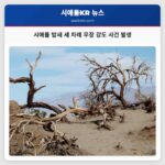 시애틀 밤새 세 차례 무장 강도 사건 발생