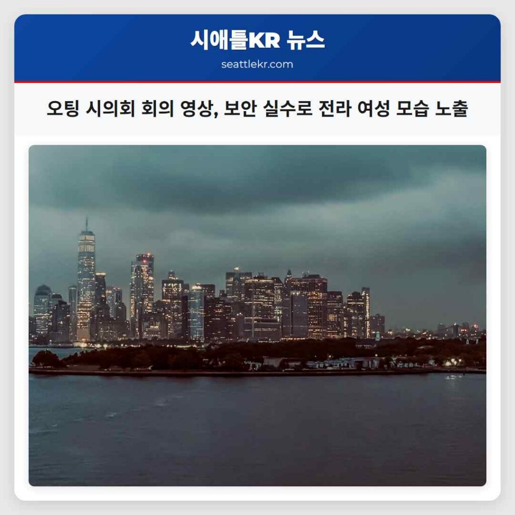 오팅 시의회 회의 영상, 보안 실수로 전라 여성 모습 노출