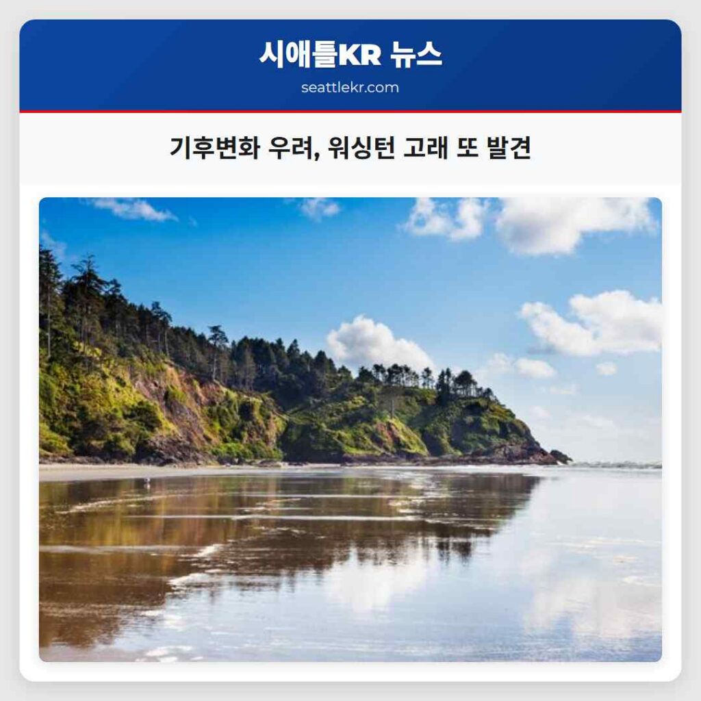 기후변화 우려, 워싱턴 고래 또 발견