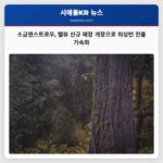 소금앤스트로우 벨뷰 신규 매장 개장으로 워싱턴 진출 가속화