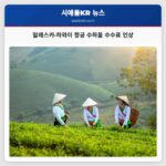 알래스카·하와이 항공 수하물 수수료 인상으로 여행객 경제적 부담 증가