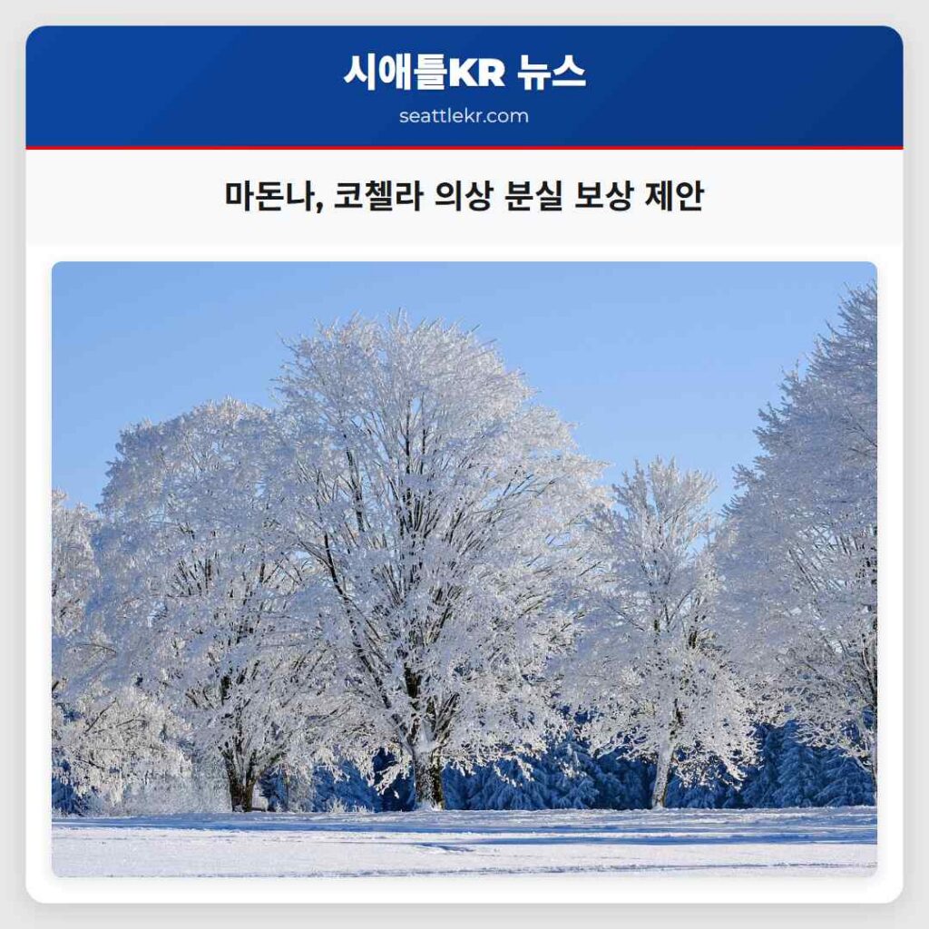 마돈나, 코첼라 의상 분실 보상 제안