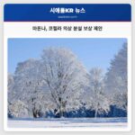 마돈나 코첼라 의상 분실 보상 제안