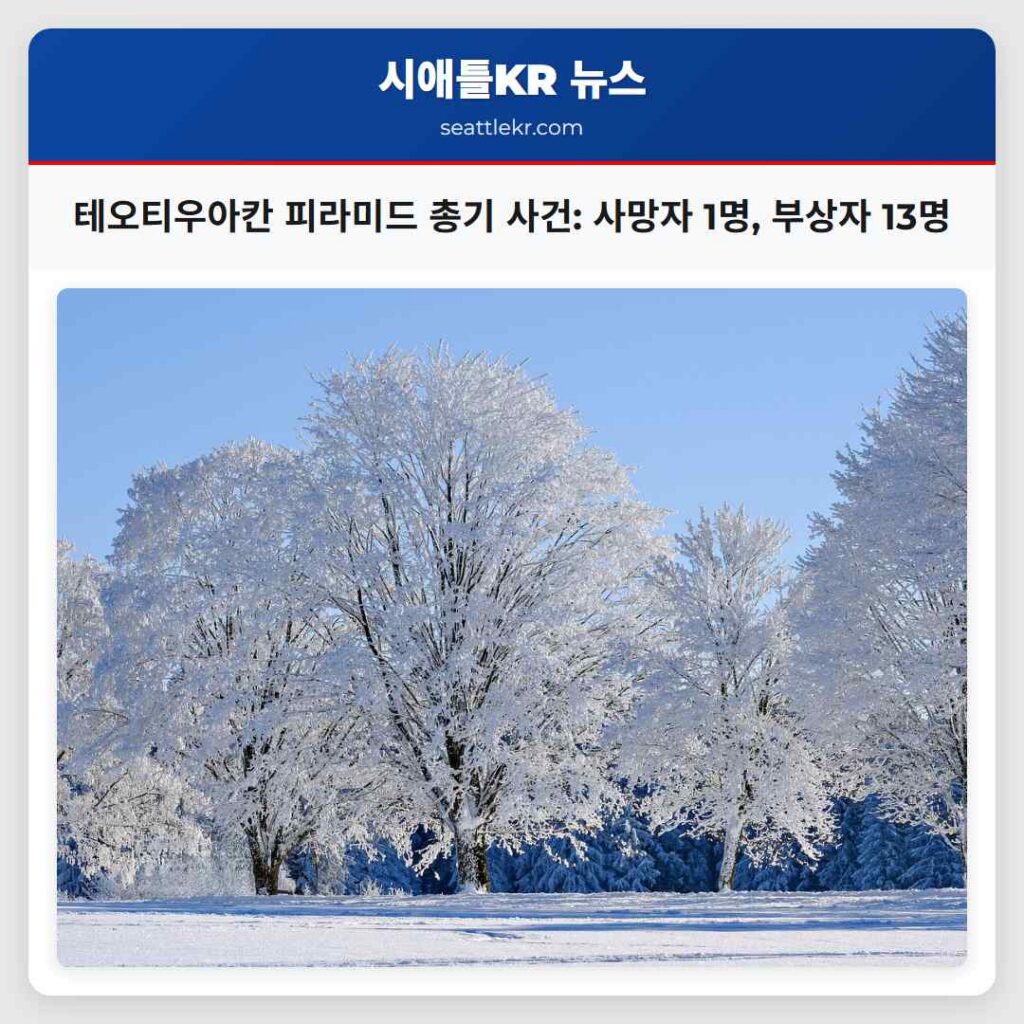 테오티우아칸 피라미드 총기 사건: 사망자 1명, 부상자 13명