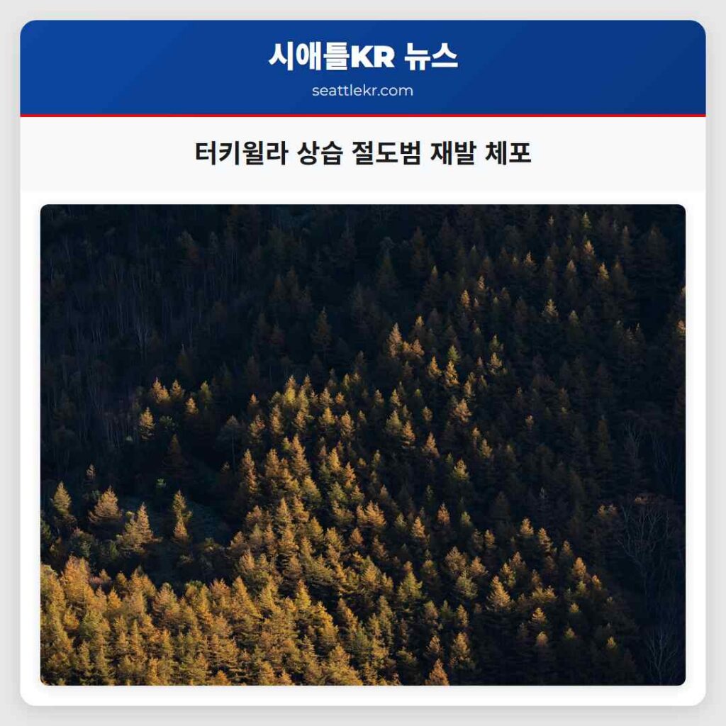터키윌라 상습 절도범 재발 체포