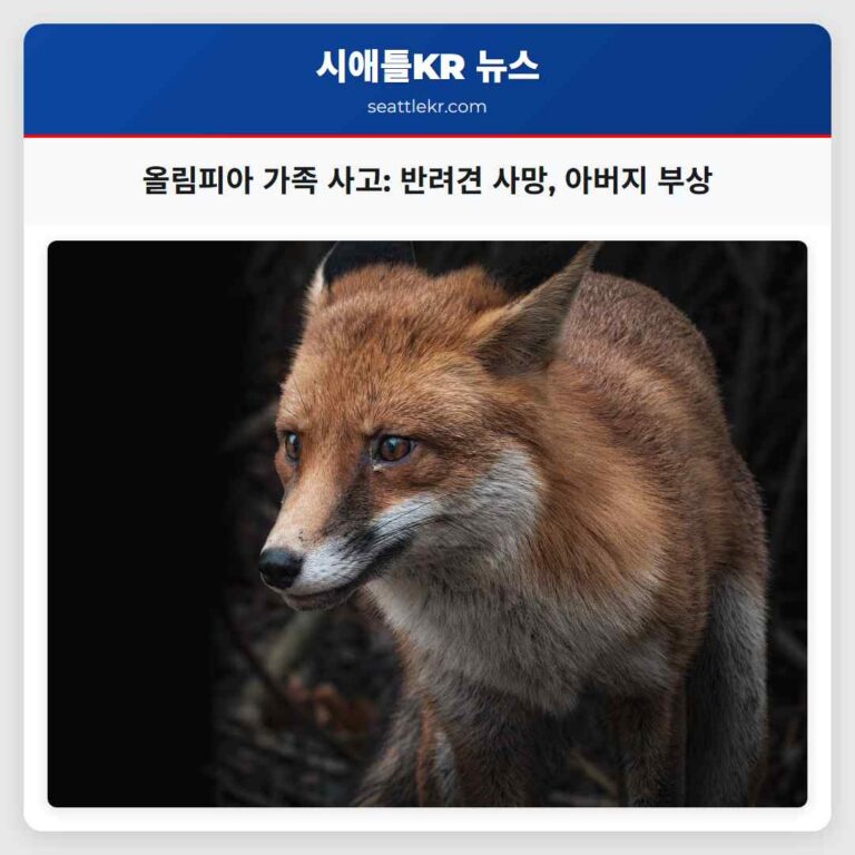 올림피아 가족 사고 반려견 사망 아버지 부상