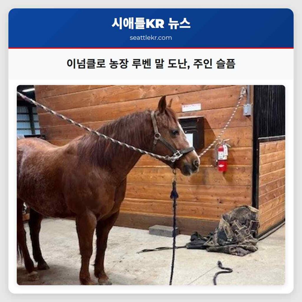 이넘클로 농장 루벤 말 도난, 주인 슬픔
