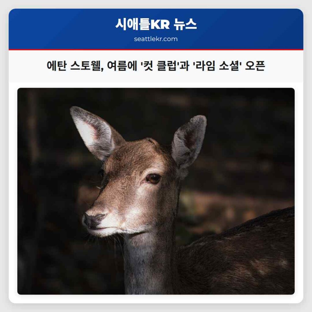 에탄 스토웰, 여름에 '컷 클럽'과 '라임 소셜' 오픈
