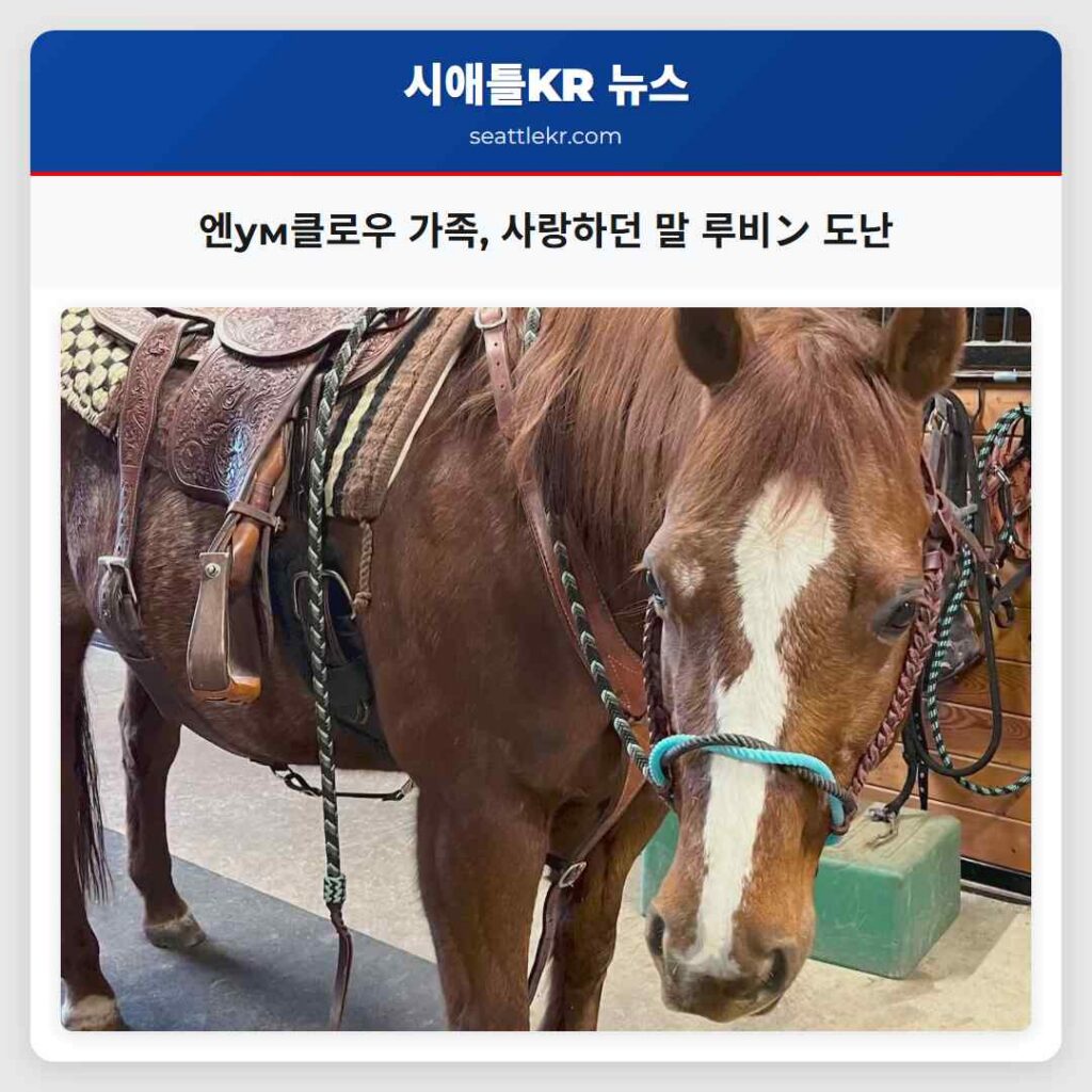 엔ум클로우 가족, 사랑하던 말 루비ン 도난