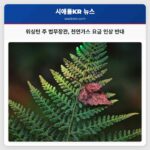 워싱턴 주 법무장관 주민 경제 부담 우려하에 노스웨스트 천연가스 요금 인상 반대