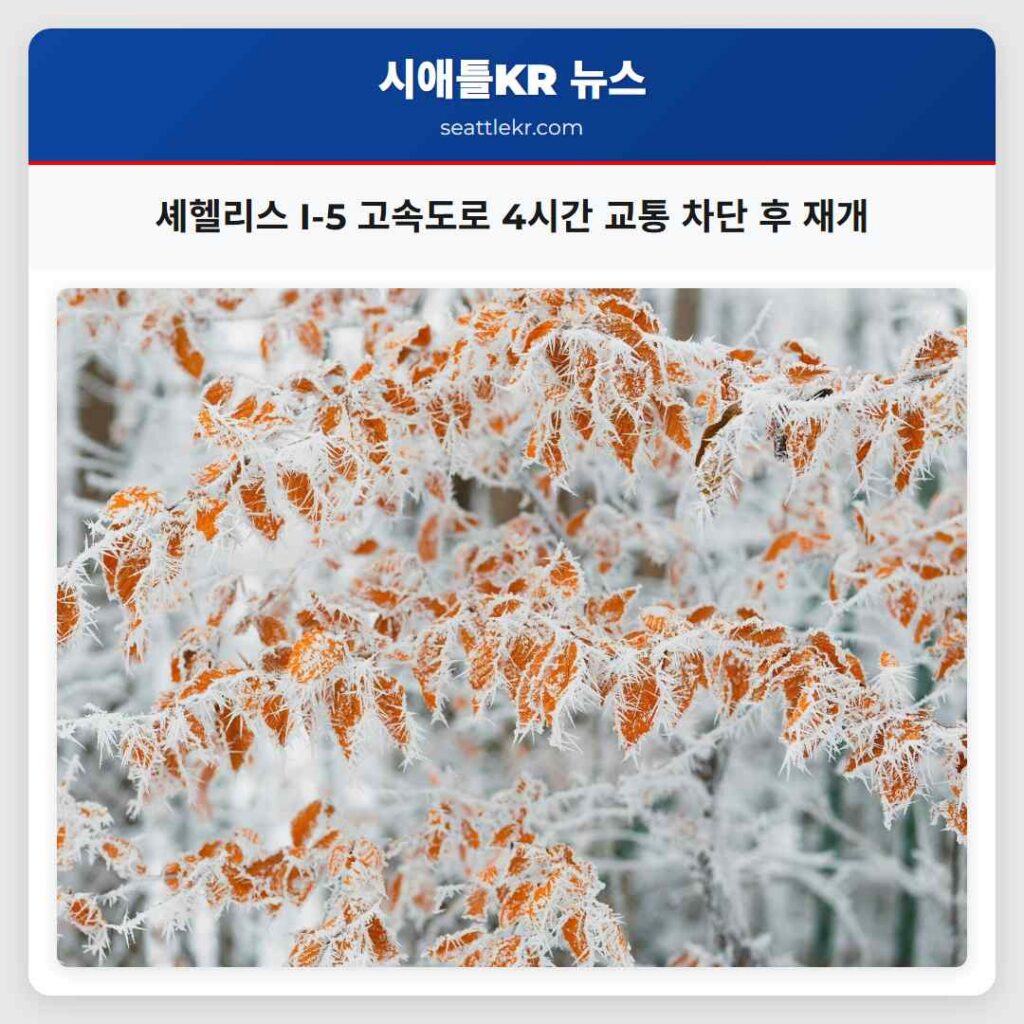 셰헬리스 I-5 고속도로 4시간 교통 차단 후 재개